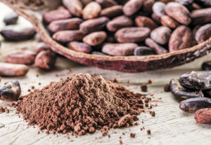 F.Pache avança no segmento de chocolate com tecnologia da Cacao del Plata